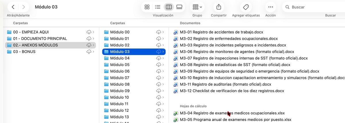 61 formatos por módulo